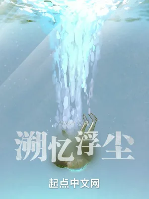 《溯忆浮尘》小说封面