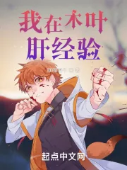 《我在木叶肝经验》封面