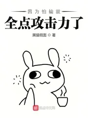 《因为怕输就全点攻击力了》小说封面