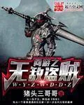 《网游之无敌盗贼》小说封面