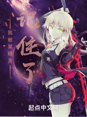 《我被某精灵记住了》封面