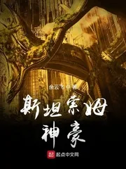 《斯坦索姆神豪》封面