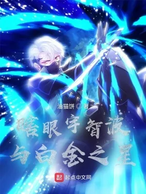 《瞎眼宇智波与白金之星》封面