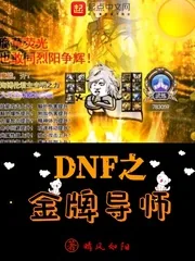 《DNF之金牌导师》封面