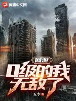 《网游：0级的我无敌了》封面