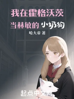 《我在霍格沃茨当赫敏的小奶狗》封面
