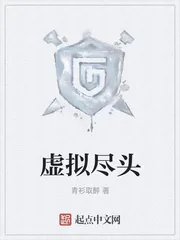 《虚拟尽头》封面