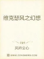 《维克瑟风之幻想》封面