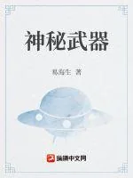 《明末征服游戏》封面