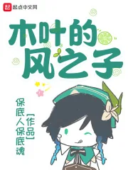 《木叶的风之子》封面