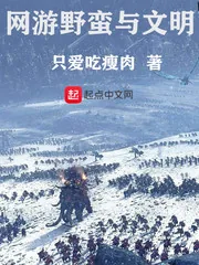 《网游野蛮与文明》封面