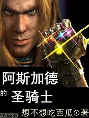 《阿斯加德的圣骑士》小说封面