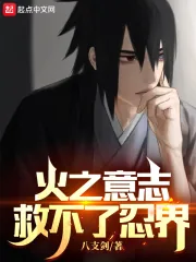 《火之意志，救不了忍界》封面