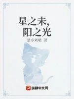 《星之未，阳之光》封面