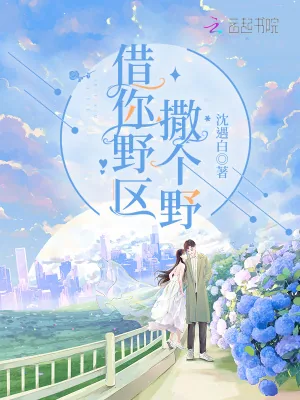 《借你野区撒个野》封面