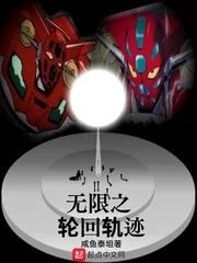《无限之轮回轨迹》封面