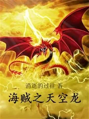 《海贼之天空龙》小说封面
