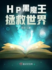 《HP黑魔王拯救世界》封面