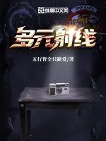《多元射线：第一阶段》小说封面
