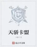 《天骄卡盟》小说封面