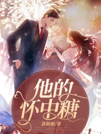 《他的怀中糖》封面