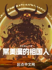 《某美漫的祖国人》封面