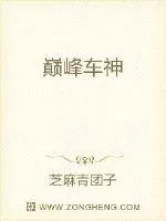 《巅峰车神》小说封面