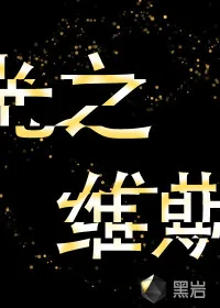 《光之维斯》小说封面