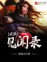 《武侠见闻录》小说封面