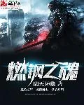 《燃钢之魂》封面