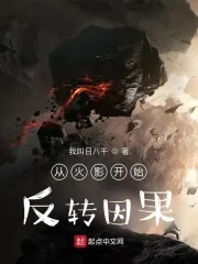 《从火影开始反转负面属性》封面