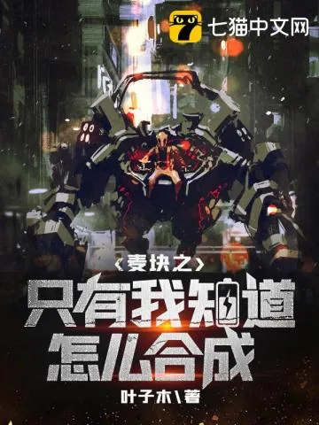 《麦块之只有我知道怎么合成》封面