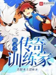 《精灵之传奇训练家》封面