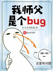 《我师父是个bug》封面