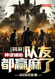 《网游：神级辅助，队友都赢麻了》封面
