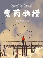 《哈利波特之魔药教授》封面