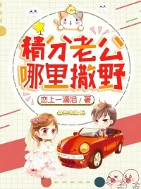 《精分老公哪里撒野》封面