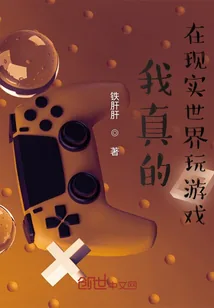 《我真的在现实世界玩游戏》封面