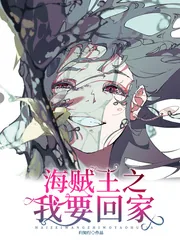 《海贼王之我要回家》封面