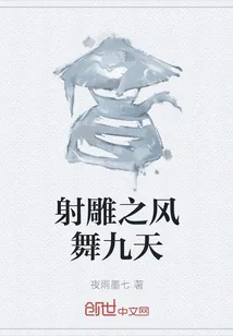 《射雕之风舞九天》小说封面