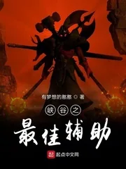《峡谷之最佳辅助》封面