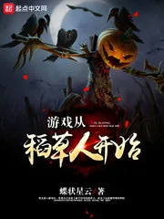 《游戏从稻草人开始》封面