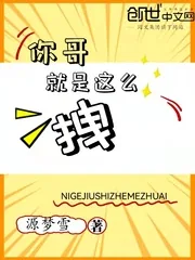 《你哥就是这么拽》封面