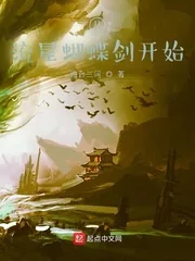 《从流星蝴蝶剑开始》小说封面