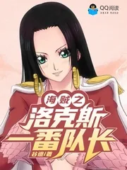 《海贼之洛克斯一番队长》封面