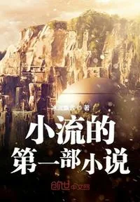《小流的第一部》小说封面