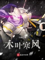 《木叶寒风》封面
