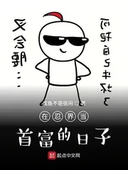 《在忍界当首富的日子》封面