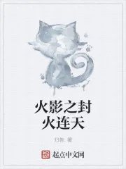 《木叶之封火连天》封面