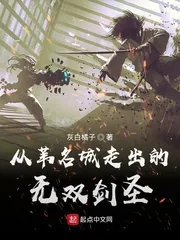 《从苇名城走出的无双剑圣》小说封面